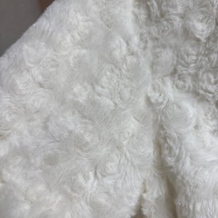 ドレスコートの画像