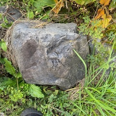 庭石20個くらいの画像