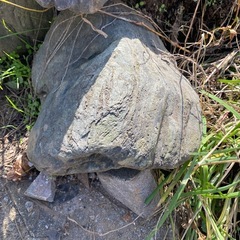 庭石20個くらいの画像