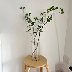 花瓶　フラワーベースの画像