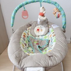 電動バウンサーの画像