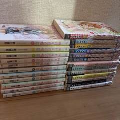 少女漫画　11+6+7の24冊の画像