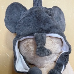 アニマル帽子
の画像