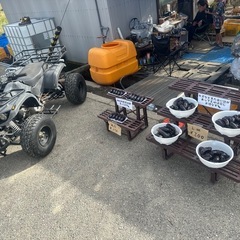 本日17時まで‼️ナス🍆訳あり✨️の画像