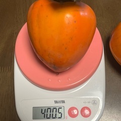 干し柿用　大玉　😱残り25〜30個程😱の画像