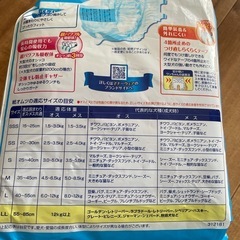 犬のオムツの画像