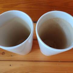 白い陶器の蘭鉢２個セットの画像