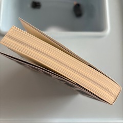 2040年の未来予想　成毛眞　〜知っている人だけが悲劇を避けられる〜の画像