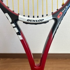 ダンロップ RIM の画像