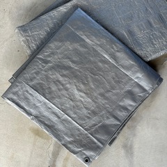 【美品】シルバーシートの画像