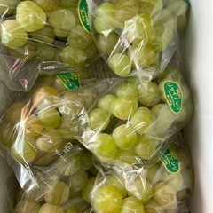 紫苑葡萄1箱２キロの画像