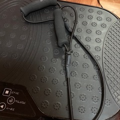 ダイエットマシン　アルインコの画像