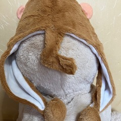 アニマル帽子
の画像