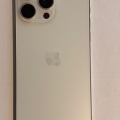 iPhone 15 Pro Max 256GB ホワイト チタニウム SIMフリー美品の画像