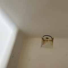 魚釣り用クーラーボックス
の画像