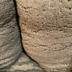 座布団クッションの画像