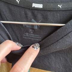 Tシャツレディースの画像