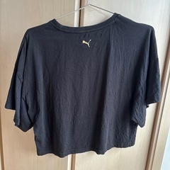 Tシャツレディースの画像