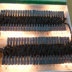 ◆お引取り限定/三重県/値引不可(値引きコメント返信不可)◆ クリスマスイルミネーション用 電球 [G-293]の画像