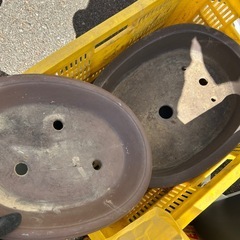 植木鉢盆栽鉢などの画像