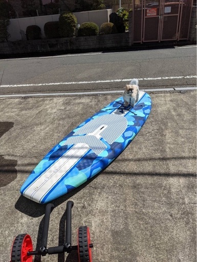 マリンスポーツ SAP