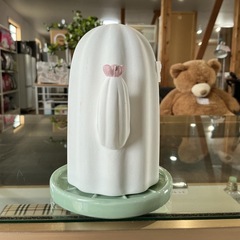 空間除湿🌱繰り返し利用可能❗️サボテン型🌵カラッとマスコット✨ Decoleデコレ受け皿付き❗️可愛い💗ピンク•白•緑の画像
