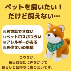 【新品】おしゃべりわんちゃんぬいぐるみ(元値：13200円)の画像