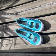 はやぶさ上履きの画像