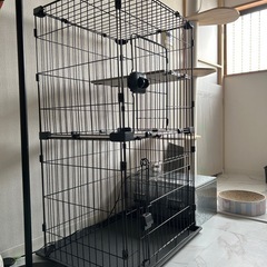 ＼楽天ランキング1位／猫ケージ 2段 コンパクト スリム キャットケージ アイリスオーヤマ 棚板 ステップ おしゃれ 組み立て簡単 脱走防止 転倒防止ベルト付き の画像