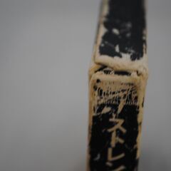 [1657] SION シオン [ストレンジ・バット・トゥルー] CD アルバムの画像