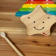 エドインター　エデュテ　ボイラ　高級　木のおもちゃ　3点セット！の画像