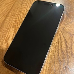 ［値下げ交渉可］iPhone15Pro 256GB ナチュラルチタニウム SIMフリーの画像