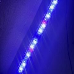 海水魚 サンゴ 照明 水槽 ライト 60cmの画像