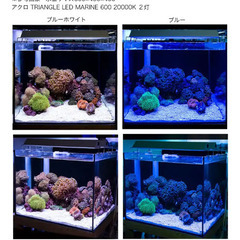 海水魚 サンゴ 照明 水槽 ライト 60cmの画像