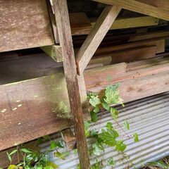 木材・角材など色々、長いものもあり　DIY、薪にどうぞの画像