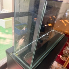 水槽 と水槽台
の画像