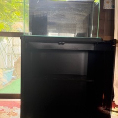 水槽 と水槽台
の画像