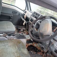 無料‼️の画像