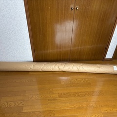 グリーン絨毯（約320センチ✖️230センチ）の画像