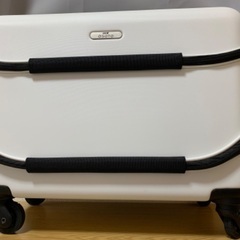 GEXジェックスOSOTOキャリーM/ペットキャリーの画像