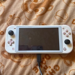 Switchライト ジャンク品の画像