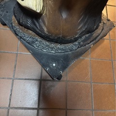 信楽焼 たぬき 特大30号 キャスター台付 おまけ付きの画像