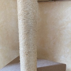 キャットタワーの画像