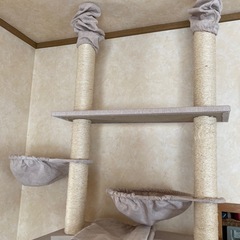 キャットタワーの画像