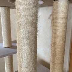 キャットタワーの画像