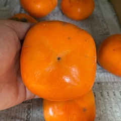 柿　甘いですの画像