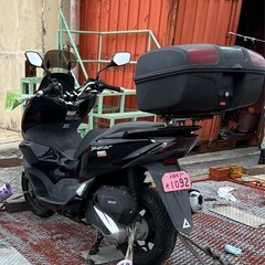 JK05 低走行 の画像