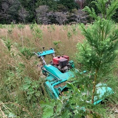 造園に興味ある方の画像