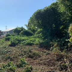 造園に興味ある方の画像