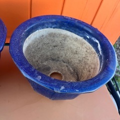 植木鉢 ２つセット　の画像